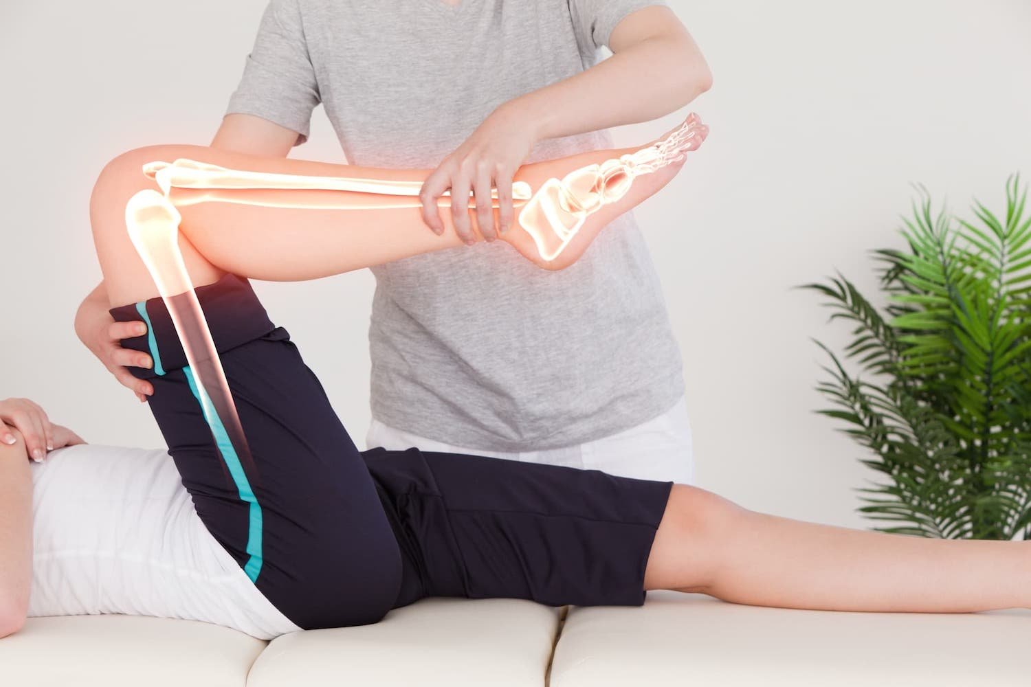 fisioterapia 7